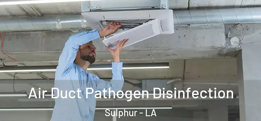  Air Duct Pathogen Disinfection Sulphur - LA