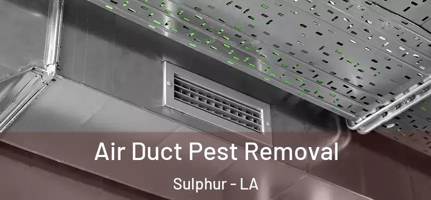  Air Duct Pest Removal Sulphur - LA