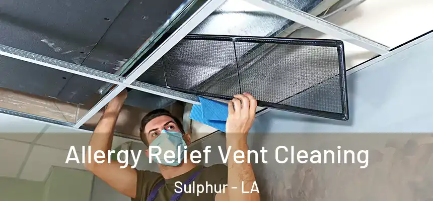  Allergy Relief Vent Cleaning Sulphur - LA