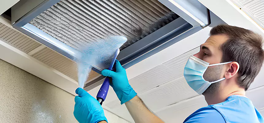 Proactive Dryer Vent & Auxiliary Duct Pollen Cleanup in Sulphur, LA