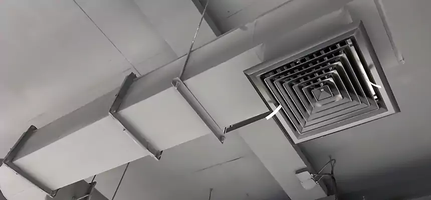 Our Pest Removal From Ducts Services in Sulphur, LA