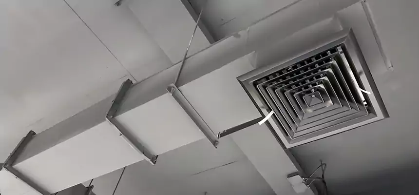 Our Rodent Droppings In Vents Services in Sulphur, LA