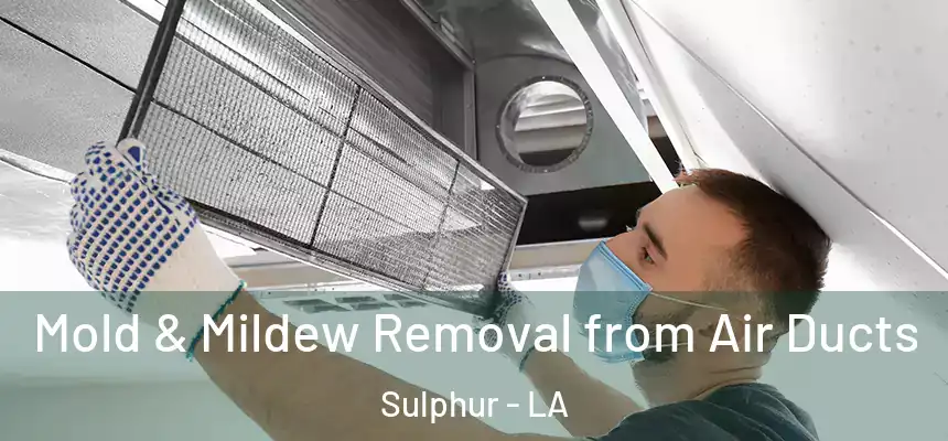 Mold & Mildew Removal from Air Ducts Sulphur - LA