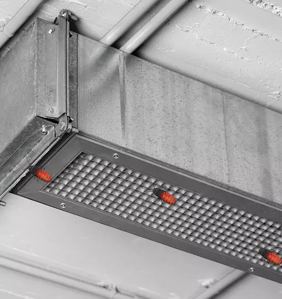 Affordable Insect Removal from Air Ducts in Sulphur, LA